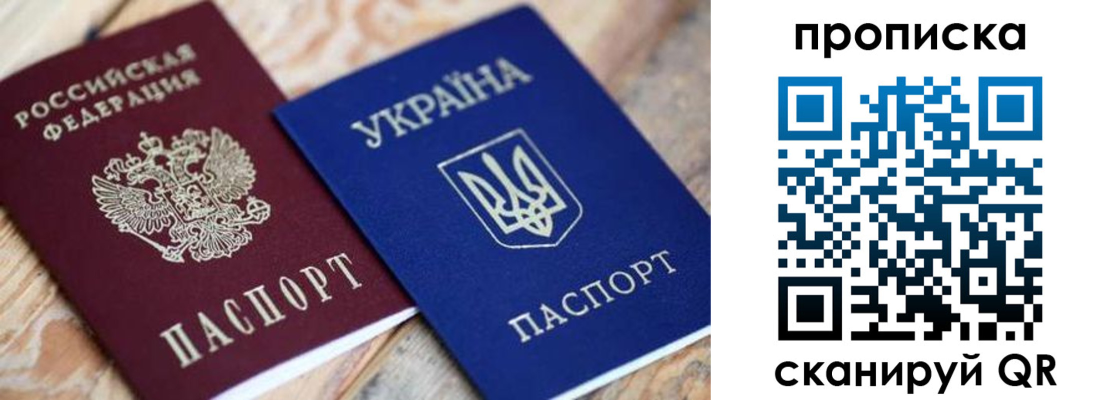 прописка поиск в Боготоле